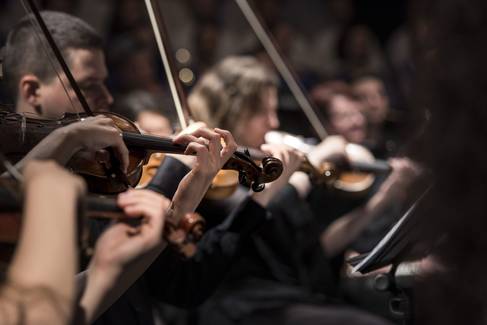 Quelle: pexels-violins-1838390